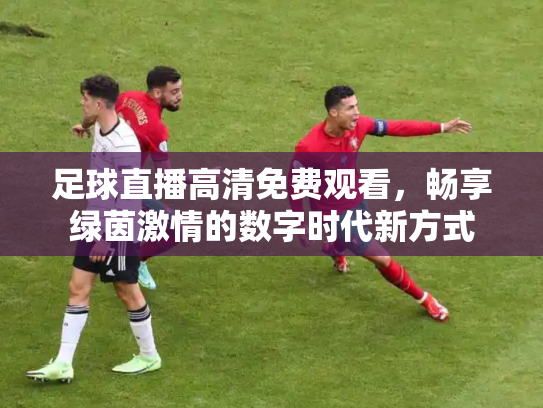 足球直播高清免费观看，畅享绿茵激情的数字时代新方式