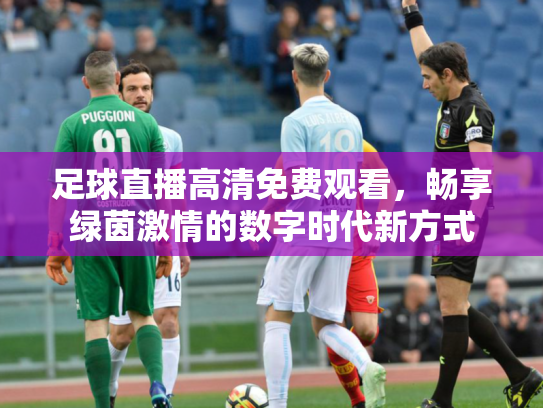 足球直播高清免费观看，畅享绿茵激情的数字时代新方式