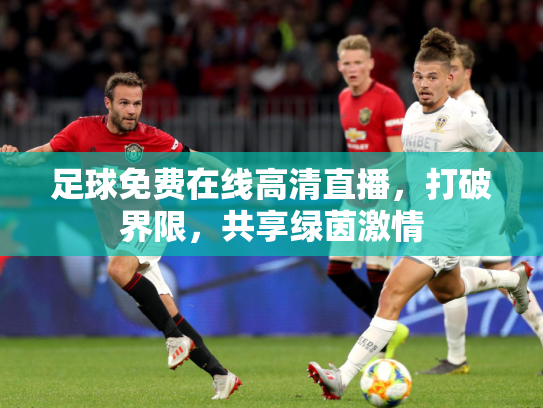 足球免费在线高清直播，打破界限，共享绿茵激情