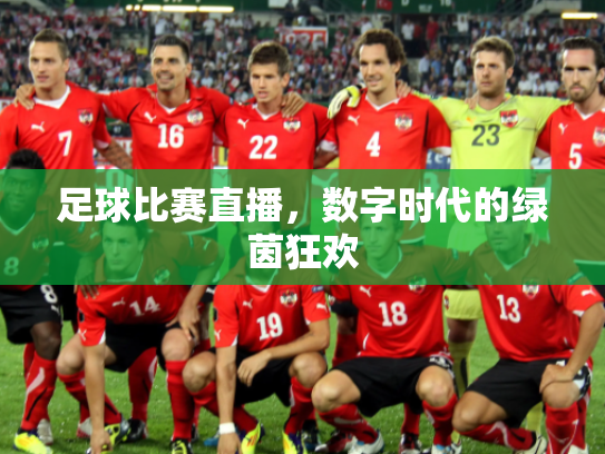 足球比赛直播，数字时代的绿茵狂欢