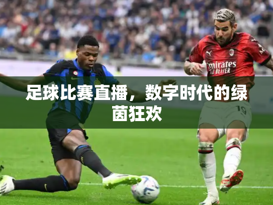 足球比赛直播，数字时代的绿茵狂欢