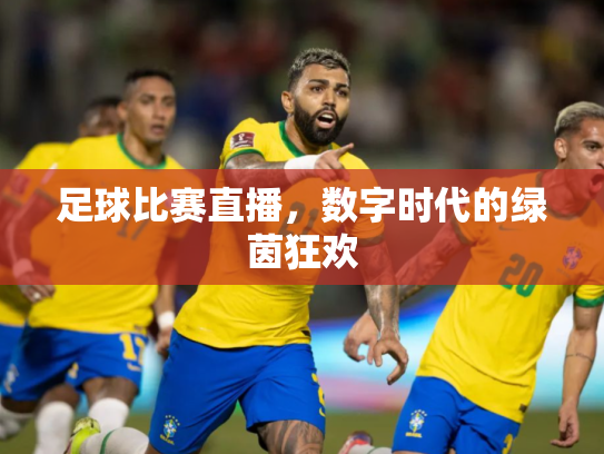 足球比赛直播，数字时代的绿茵狂欢