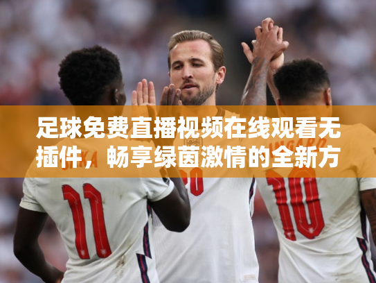 足球免费直播视频在线观看无插件，畅享绿茵激情的全新方式
