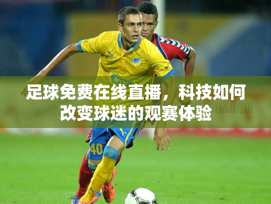 足球免费在线直播，科技如何改变球迷的观赛体验