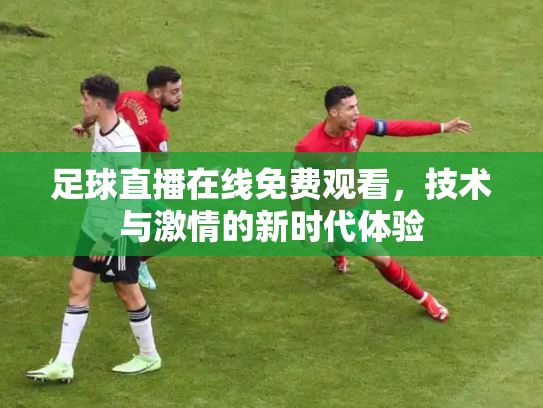 足球直播在线免费观看，技术与激情的新时代体验