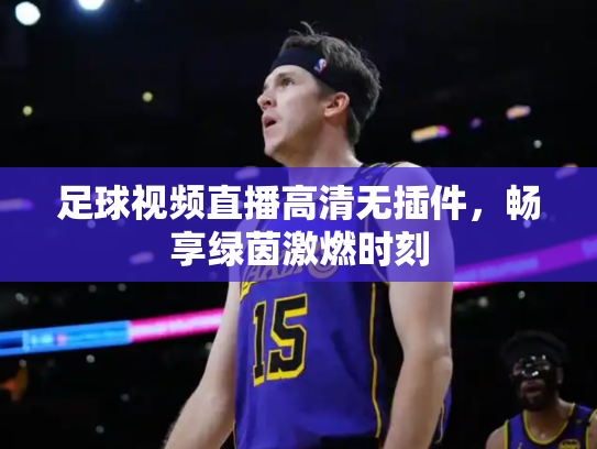 足球视频直播高清无插件，畅享绿茵激燃时刻