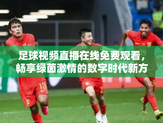 足球视频直播在线免费观看，畅享绿茵激情的数字时代新方式