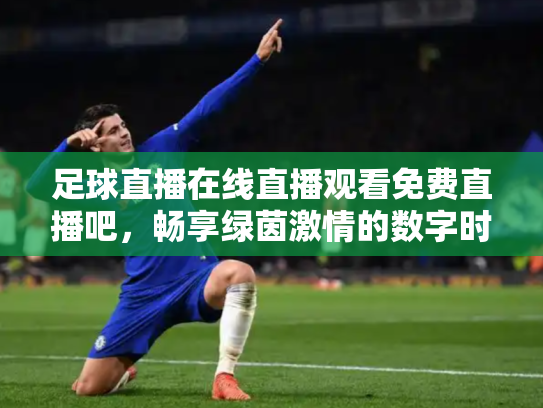 足球直播在线直播观看免费直播吧，畅享绿茵激情的数字时代