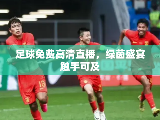 足球免费高清直播，绿茵盛宴触手可及