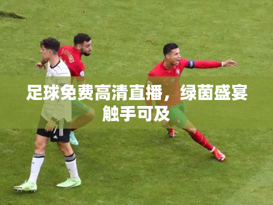 足球免费高清直播，绿茵盛宴触手可及