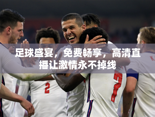 足球盛宴，免费畅享，高清直播让激情永不掉线