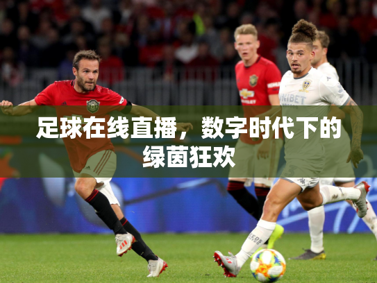 足球在线直播，数字时代下的绿茵狂欢