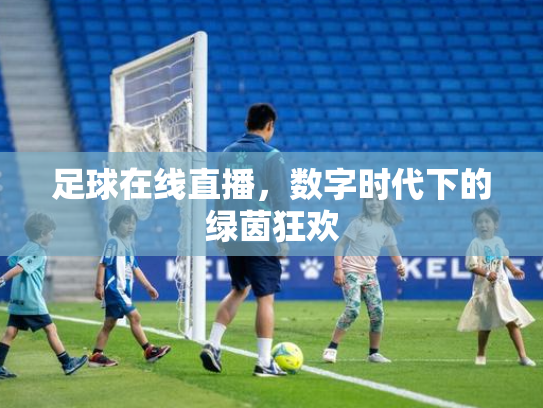 足球在线直播，数字时代下的绿茵狂欢