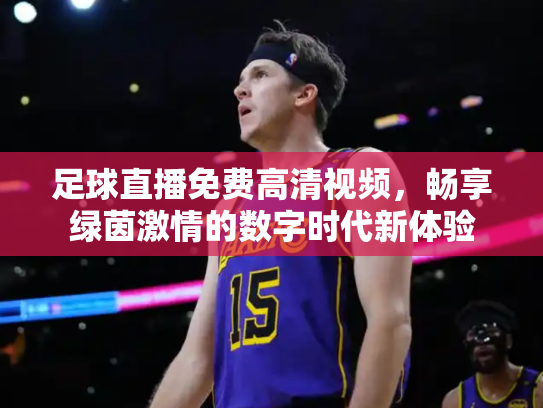 足球直播免费高清视频，畅享绿茵激情的数字时代新体验