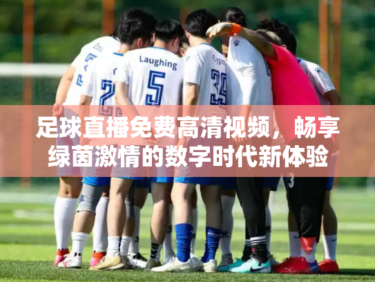 足球直播免费高清视频，畅享绿茵激情的数字时代新体验