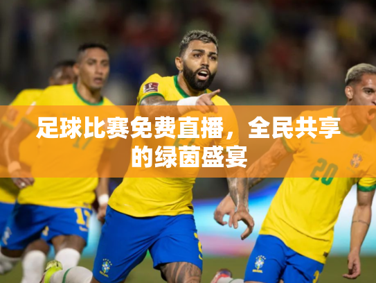 足球比赛免费直播，全民共享的绿茵盛宴
