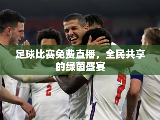 足球比赛免费直播，全民共享的绿茵盛宴