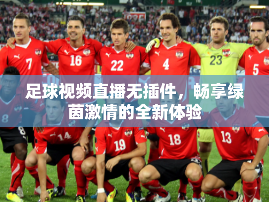 足球视频直播无插件，畅享绿茵激情的全新体验
