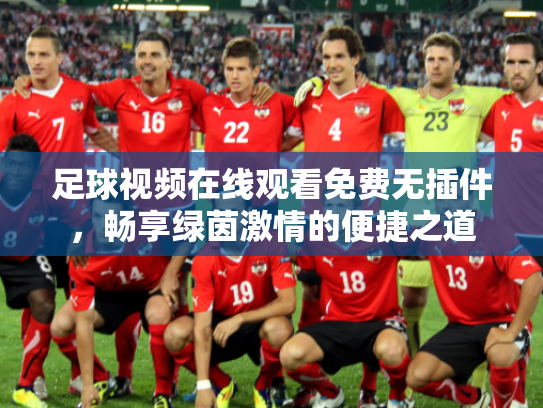 足球视频在线观看免费无插件，畅享绿茵激情的便捷之道
