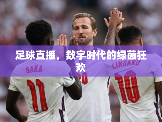 足球直播，数字时代的绿茵狂欢