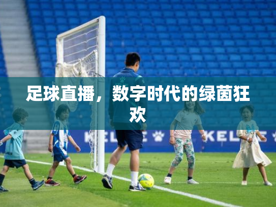 足球直播，数字时代的绿茵狂欢