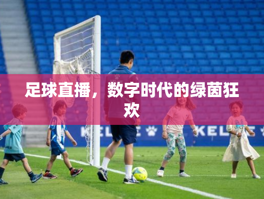 足球直播，数字时代的绿茵狂欢