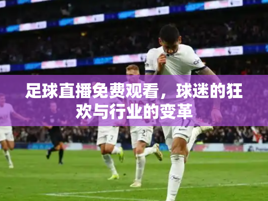 足球直播免费观看，球迷的狂欢与行业的变革