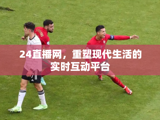 24直播网，重塑现代生活的实时互动平台
