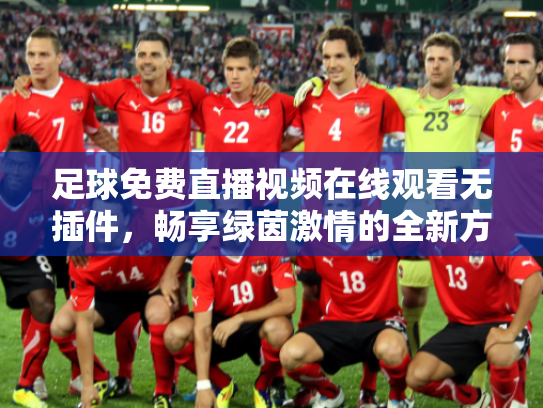 足球免费直播视频在线观看无插件，畅享绿茵激情的全新方式