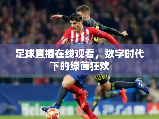 足球直播在线观看，数字时代下的绿茵狂欢