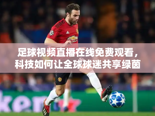 足球视频直播在线免费观看，科技如何让全球球迷共享绿茵激情