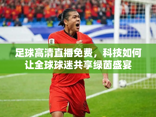 足球高清直播免费，科技如何让全球球迷共享绿茵盛宴