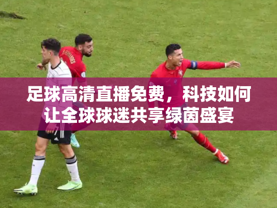 足球高清直播免费，科技如何让全球球迷共享绿茵盛宴