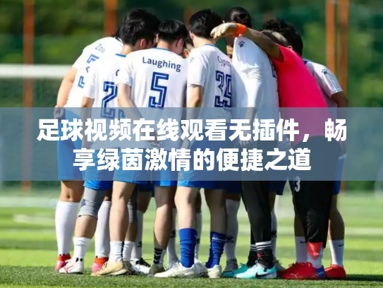 足球视频在线观看无插件，畅享绿茵激情的便捷之道
