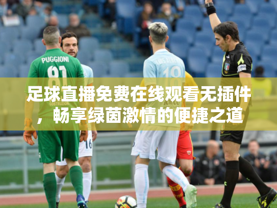 足球直播免费在线观看无插件，畅享绿茵激情的便捷之道