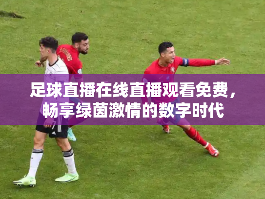 足球直播在线直播观看免费，畅享绿茵激情的数字时代