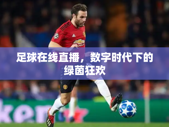 足球在线直播，数字时代下的绿茵狂欢