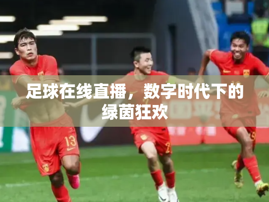 足球在线直播，数字时代下的绿茵狂欢
