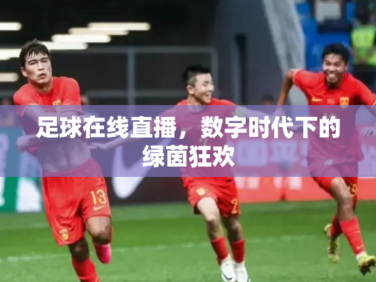 足球在线直播，数字时代下的绿茵狂欢