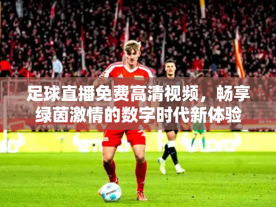 足球直播免费高清视频，畅享绿茵激情的数字时代新体验