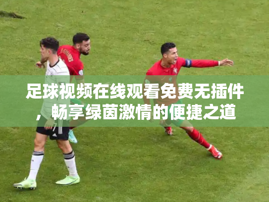足球视频在线观看免费无插件，畅享绿茵激情的便捷之道