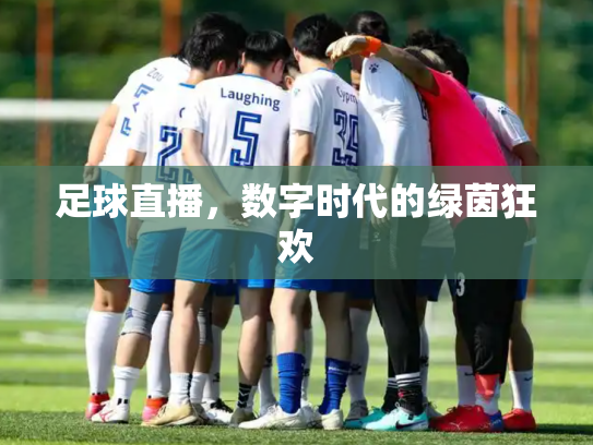 足球直播，数字时代的绿茵狂欢