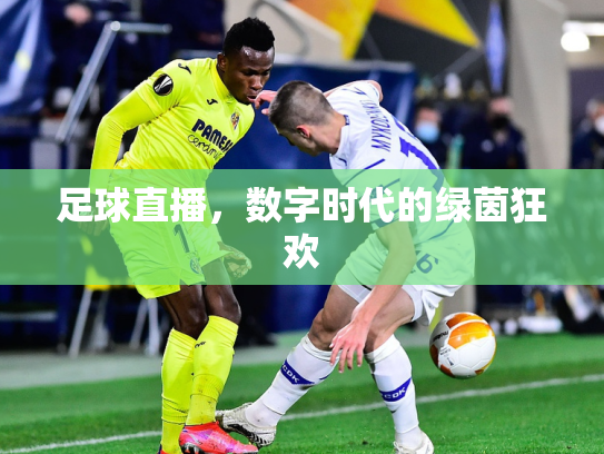 足球直播，数字时代的绿茵狂欢