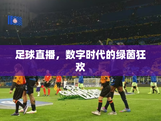 足球直播，数字时代的绿茵狂欢