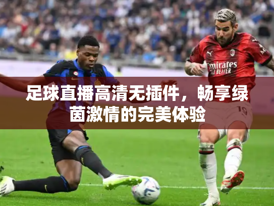 足球直播高清无插件，畅享绿茵激情的完美体验