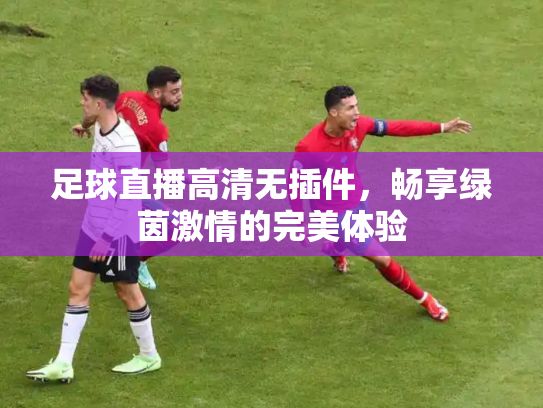 足球直播高清无插件，畅享绿茵激情的完美体验