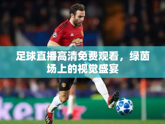 足球直播高清免费观看，绿茵场上的视觉盛宴