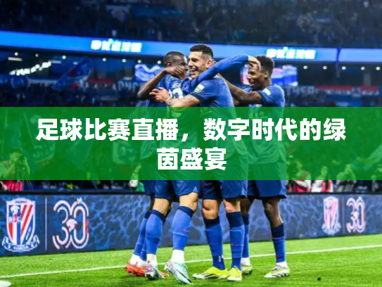 足球比赛直播，数字时代的绿茵盛宴