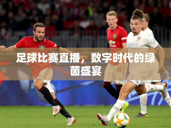 足球比赛直播，数字时代的绿茵盛宴