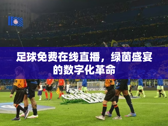 足球免费在线直播，绿茵盛宴的数字化革命